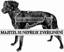 1064 Dynamit