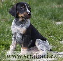 1183 Doubek