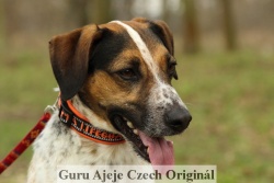 1257 Guru Ajeje
