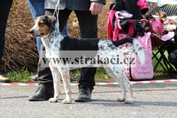 1747 Edie