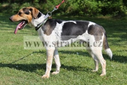 2212 Bert�k
