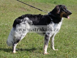 2696 Barv�nek