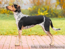 3112 B�tka