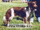 326 Bruncv�k