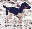 454 Beru�ka