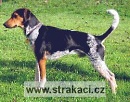 474 Filip