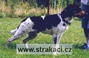 492 Ed�k