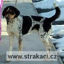 541 Champi�n