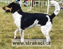 545 Chlouba