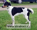 692 �ja