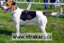 720 Adina