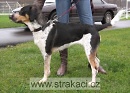 746 Jizerka