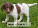 764 Bella