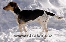 773 Edgar