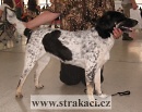 991 Camcar�ra Asi